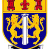 Tawa College 1st XI Logo
