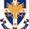 Waiuku College 1st XI Girls Logo