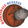 Bairnsdale Bullets Logo