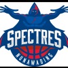 Nunawading Spectres Logo