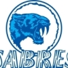 Sturt Sabres U14 Girls Logo