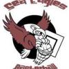 Manly Warringah Sea Eagles U14 Girls Logo
