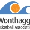 Wombats Logo