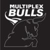 Multiplex Bulls Logo
