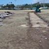 Pitch Removal