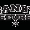 Sandy Spurs Logo