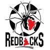 Camden Haven Redbacks Logo