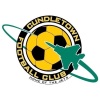 Cundletown Jets - WSL Logo