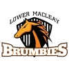 Lower Macleay Brumbies - MNL Logo