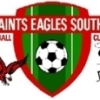 Saints Eagles South Logo