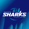 Waterfront Sharks Logo