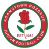 Adamstown JFC 11/01-2023 Logo