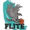 FLITE Grey Logo