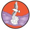 Stormbirds SC Orange Logo