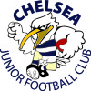 Chelsea White Logo