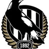 Collingwood Magpies Logo