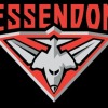 Essendon Bombers Logo