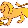Cairns City Lions Blue Logo