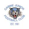 Year 7 Carine Cats Logo
