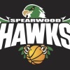 Spearwood Hawks Girls 8 Logo