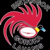 Bintangor Goroka Lahanis Logo