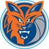 Bobcats U16.2B Logo