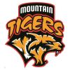 Mountain Tigers B12.4 Logo