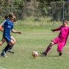 U14(2) Buderim White v North Shore