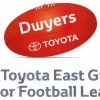 Dwyers logo