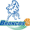 BROADMEADOWS Logo