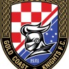 Gold Coast Knights Blue Logo