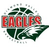 Diamond Valley Eagles Logo
