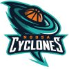 Phoenix Cyclones Logo