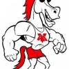 Mandurah Mustangs (AA) Logo