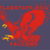 Flagstaff Hill U16.5 Logo