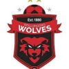 Wollongong Wolves FC Logo