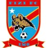 FIZI Logo