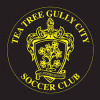 Tea Tree Gully Logo