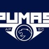 Adelaide Pumas Logo