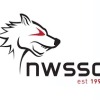 Northern Wolves Logo