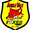 Angle Vale Logo