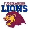 Tuggeranong Lions (Maroon) Logo