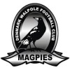 Denmark Walpole Colts Logo