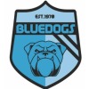 Bangalow Bluedogs Logo