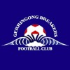 Gerringong 11 Blue Logo