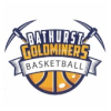 Bathurst Goldminers White Logo