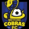 Metford Cobras FC O35Fri/01-2019 Logo