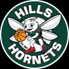 Hills Hornets Logo