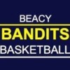Beacy Bandits Bears Logo