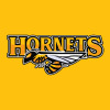 Orchard Valley Hornets Logo